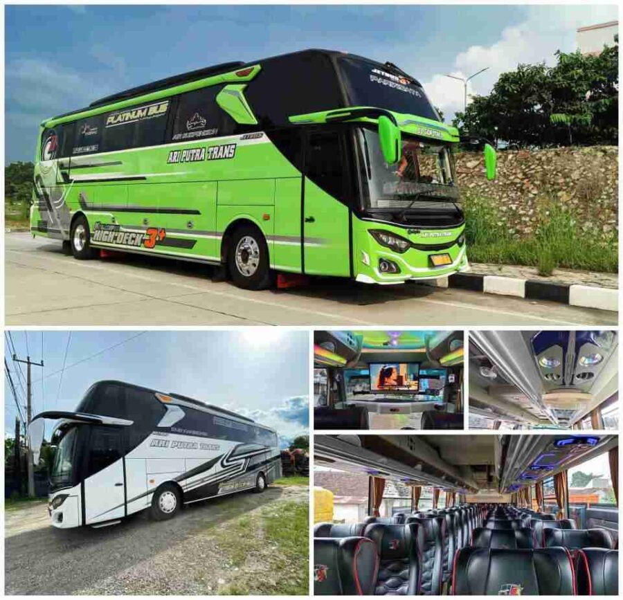 Bus Pariwisata Lampung Ariputra Trans 50 Seat